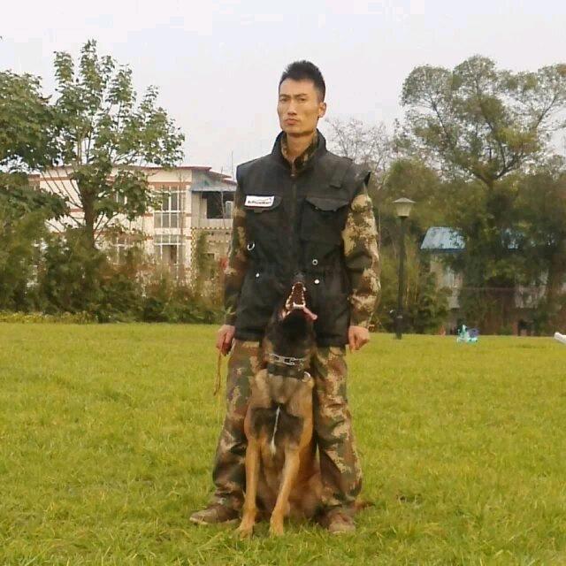 航麒犬业（龙毅)