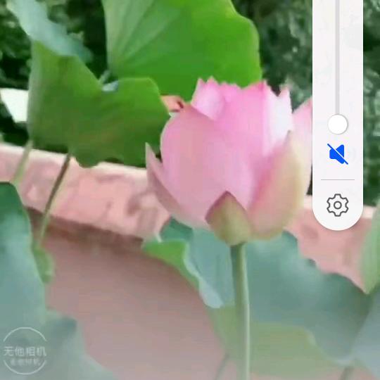 你不懂我