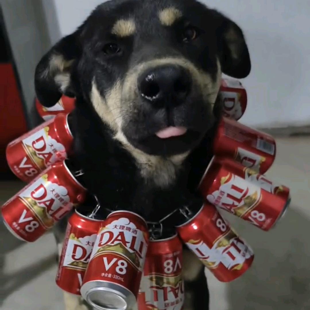 我靠