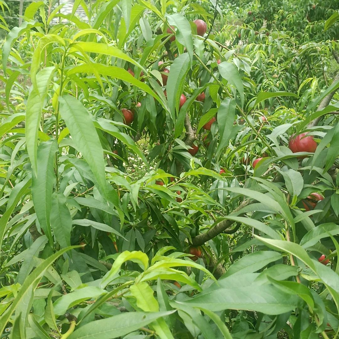 没有完美的人生