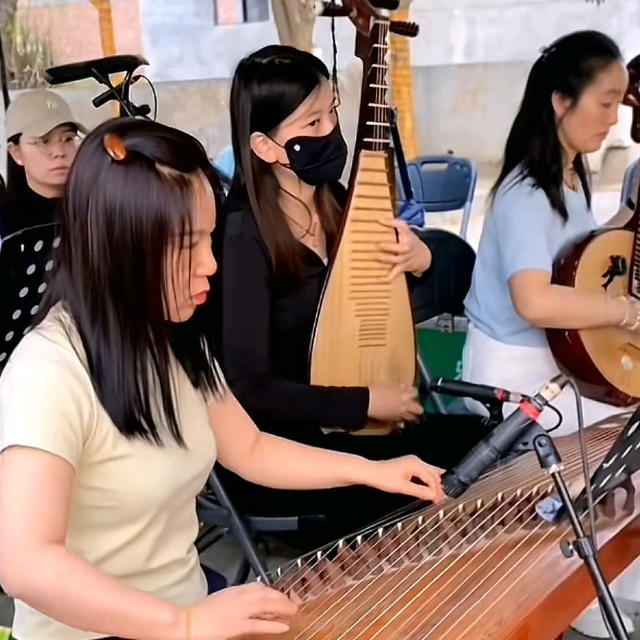 豫剧女板胡