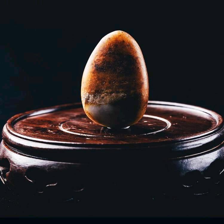 鱼遇玉宠物用品旗舰店