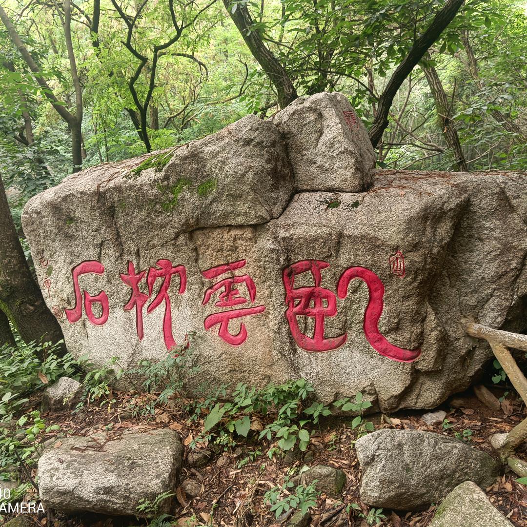 墨染清风