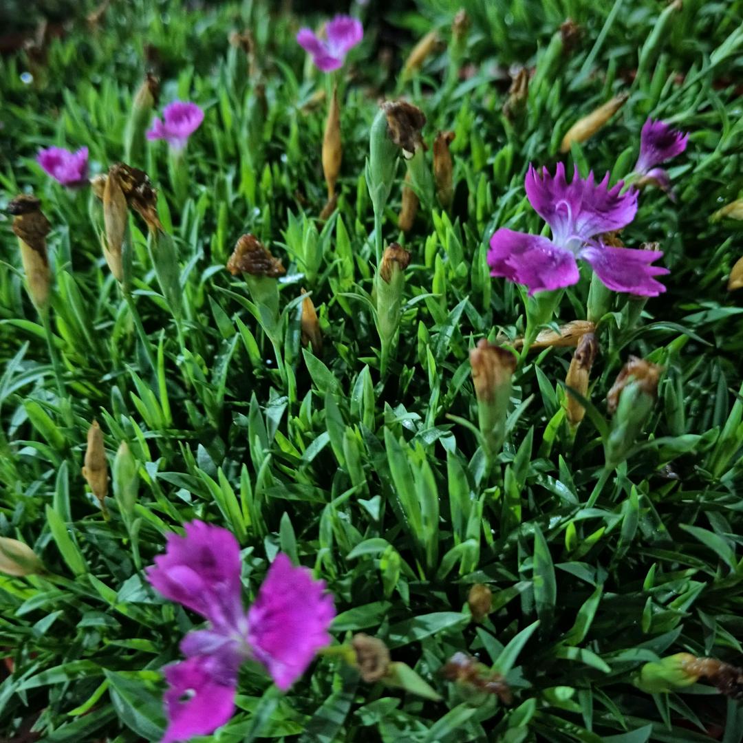 一缕阳光☀