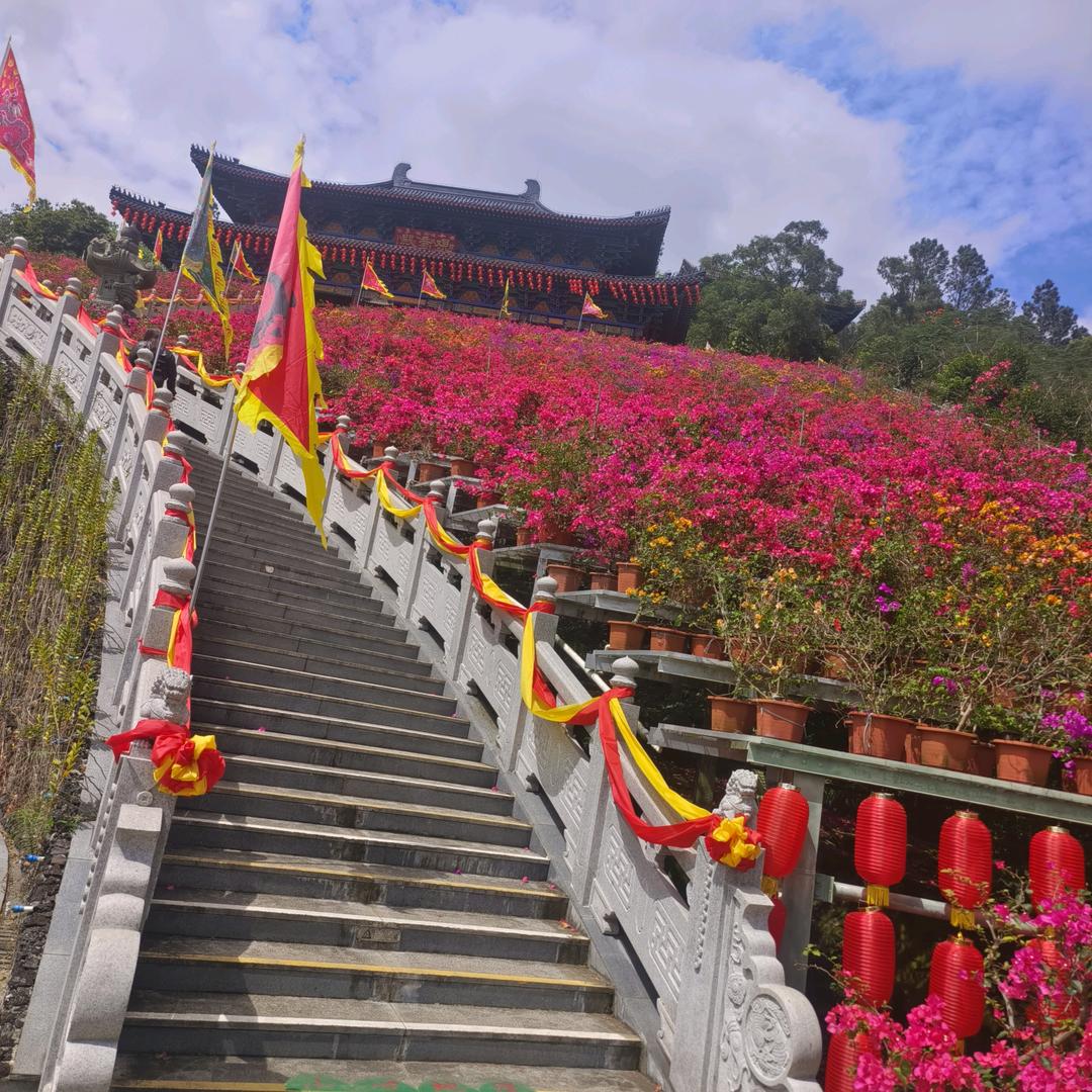 见到财神就发财