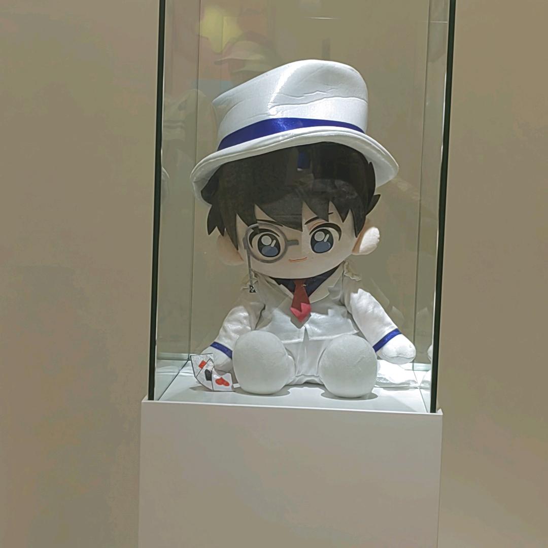 爱护家
