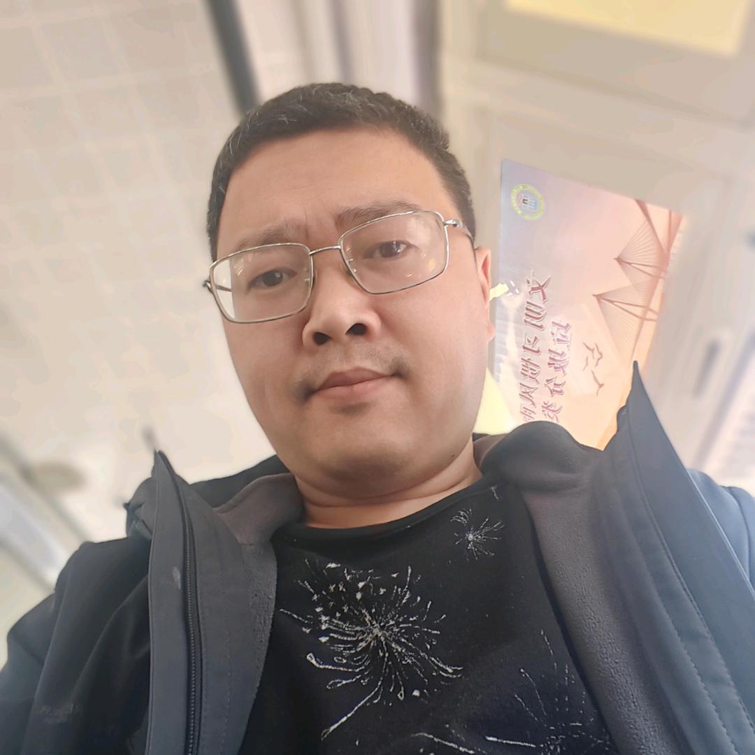 凤凰十三枪