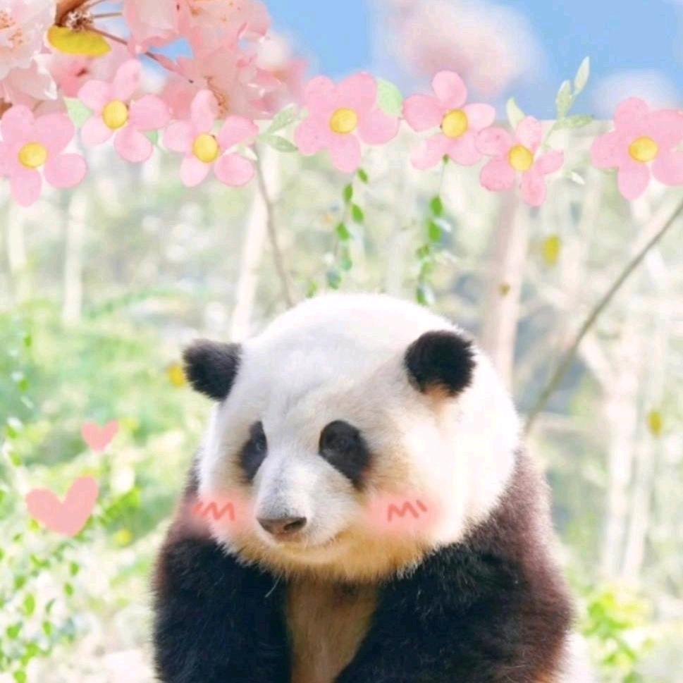 R299_🐑⋆͛ᵞᵐ