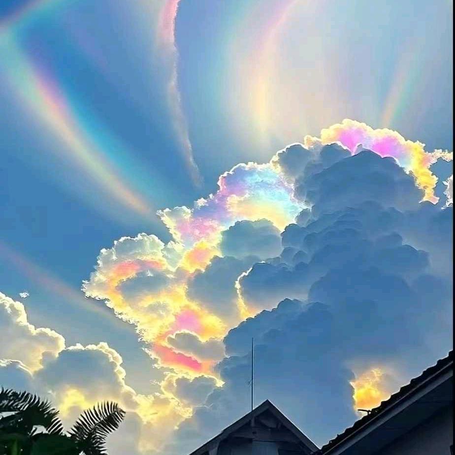 @金朵朵