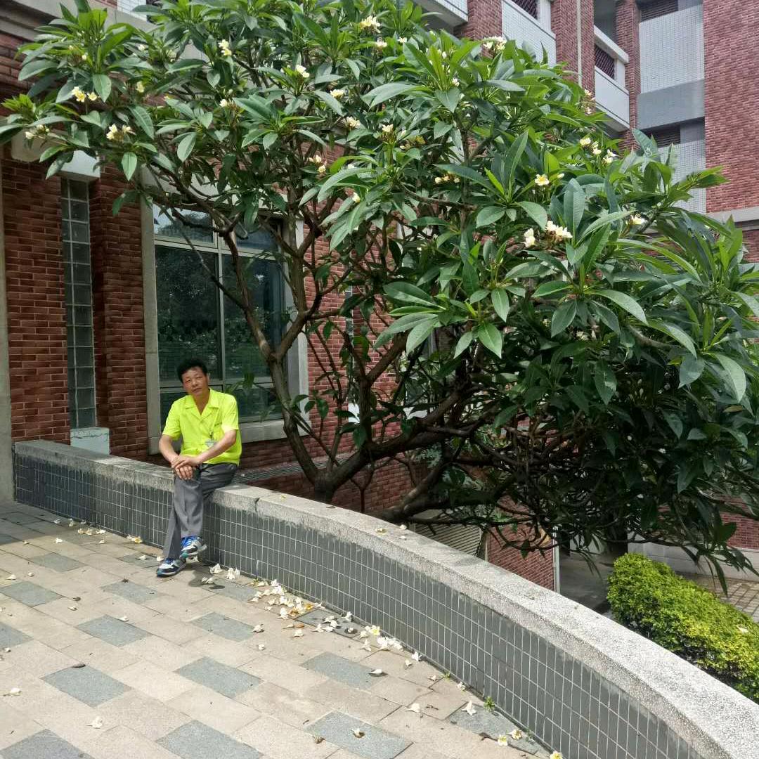 ，农村人的快乐