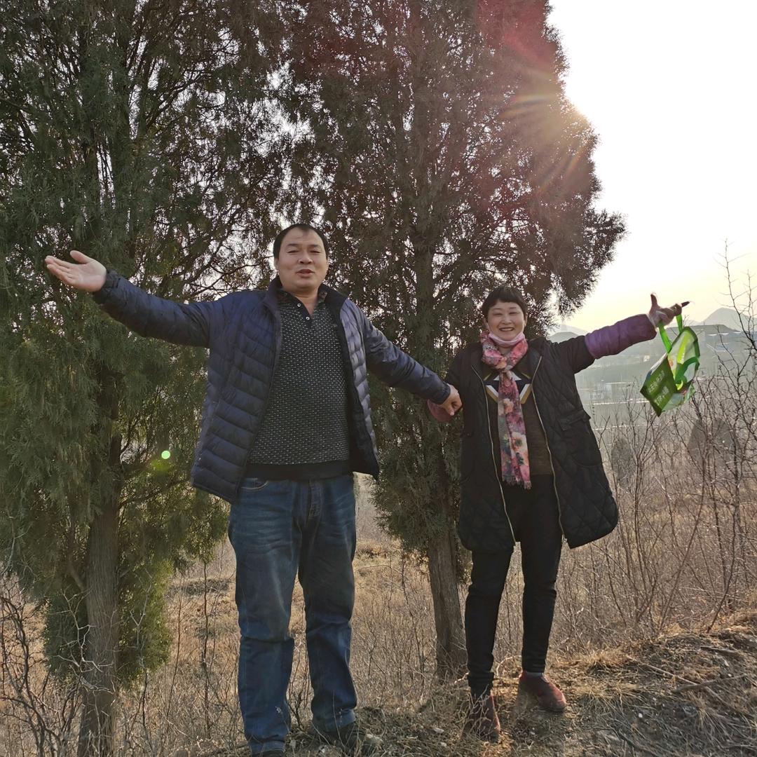 大梅蔬菜张安北