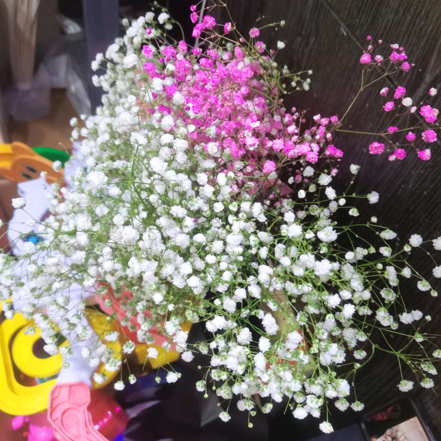 ～～～今生有你～～～～