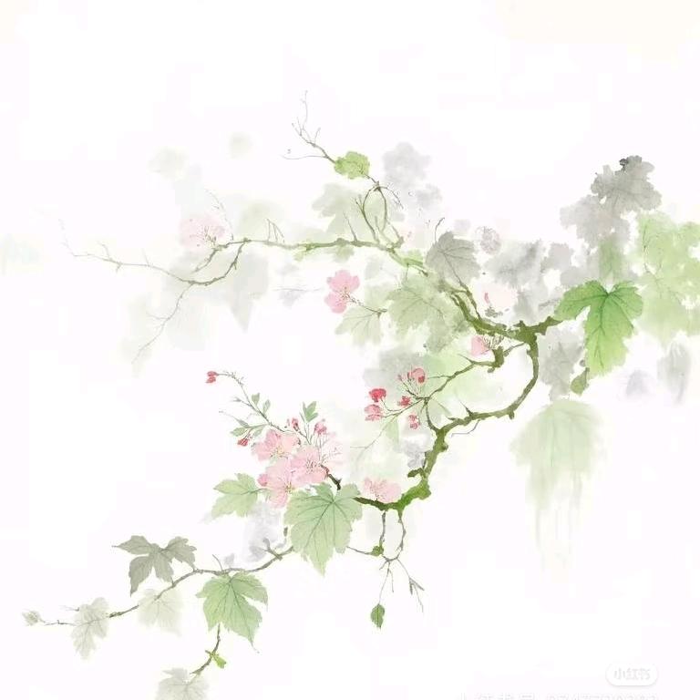 烟雨万千亦如初见