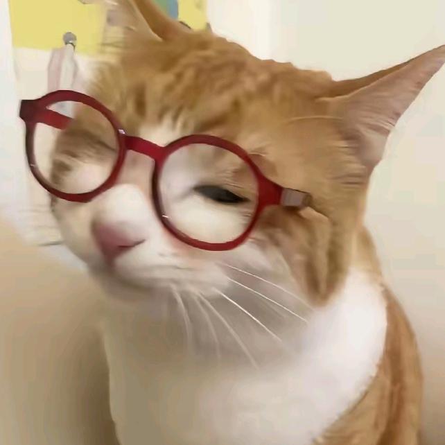 思源运动推荐