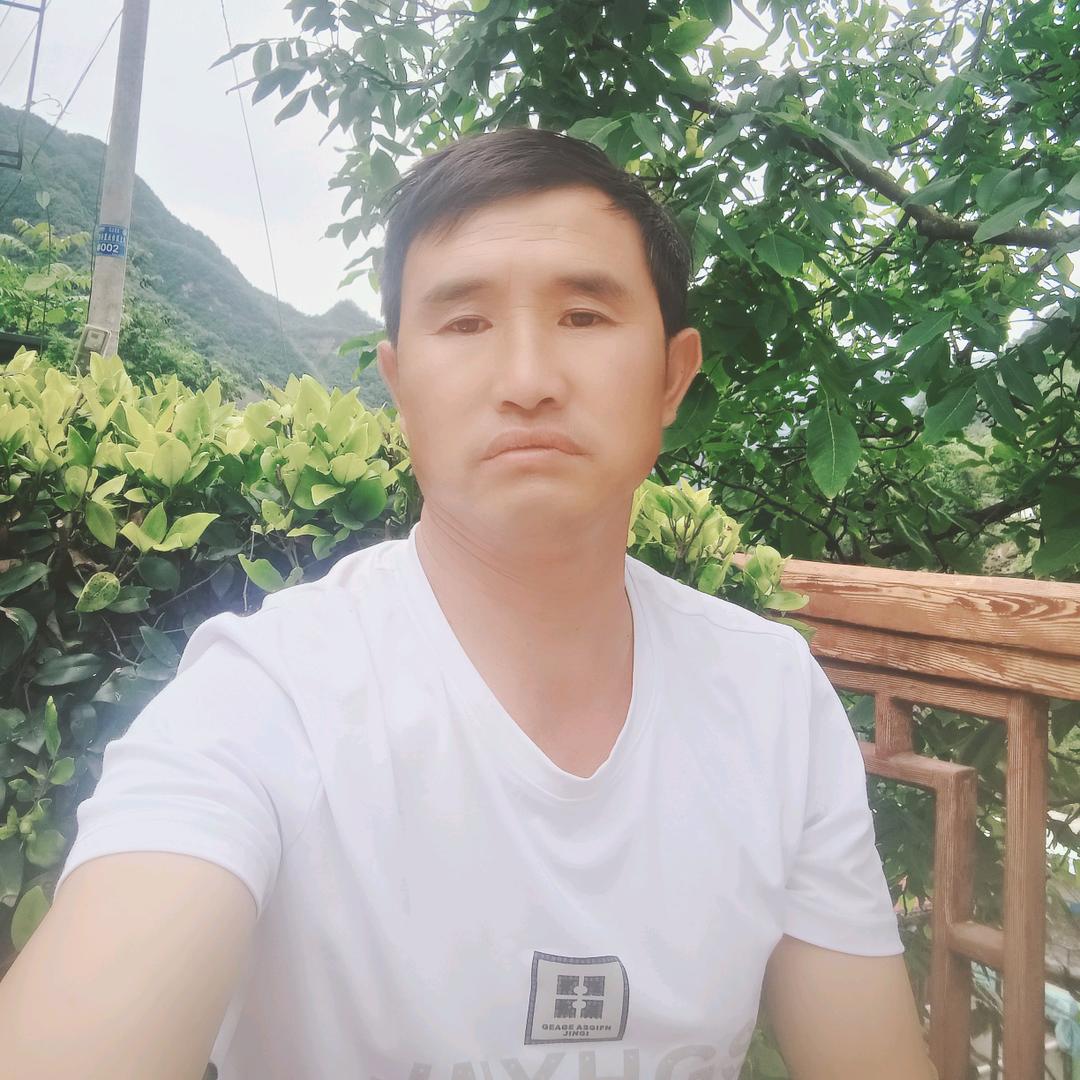 伤心兰过，单身，