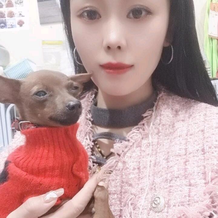 其斌宠物全国直发