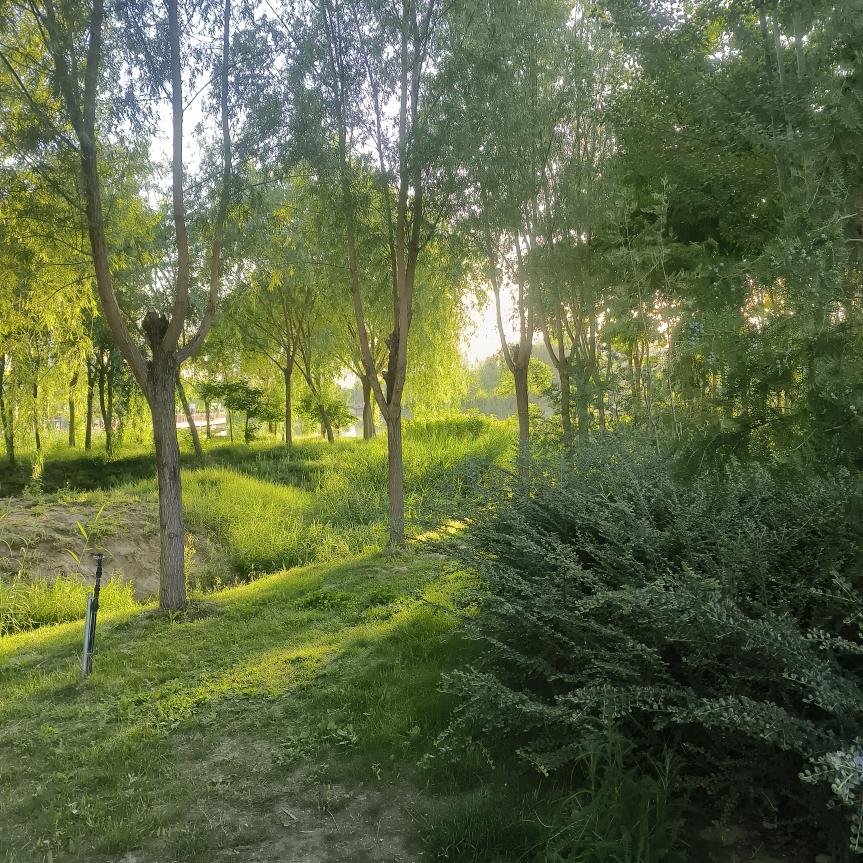 ٩(๑❛ᴗ❛๑)۶凪廿