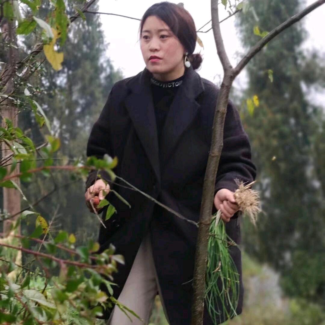 温州交运驾校