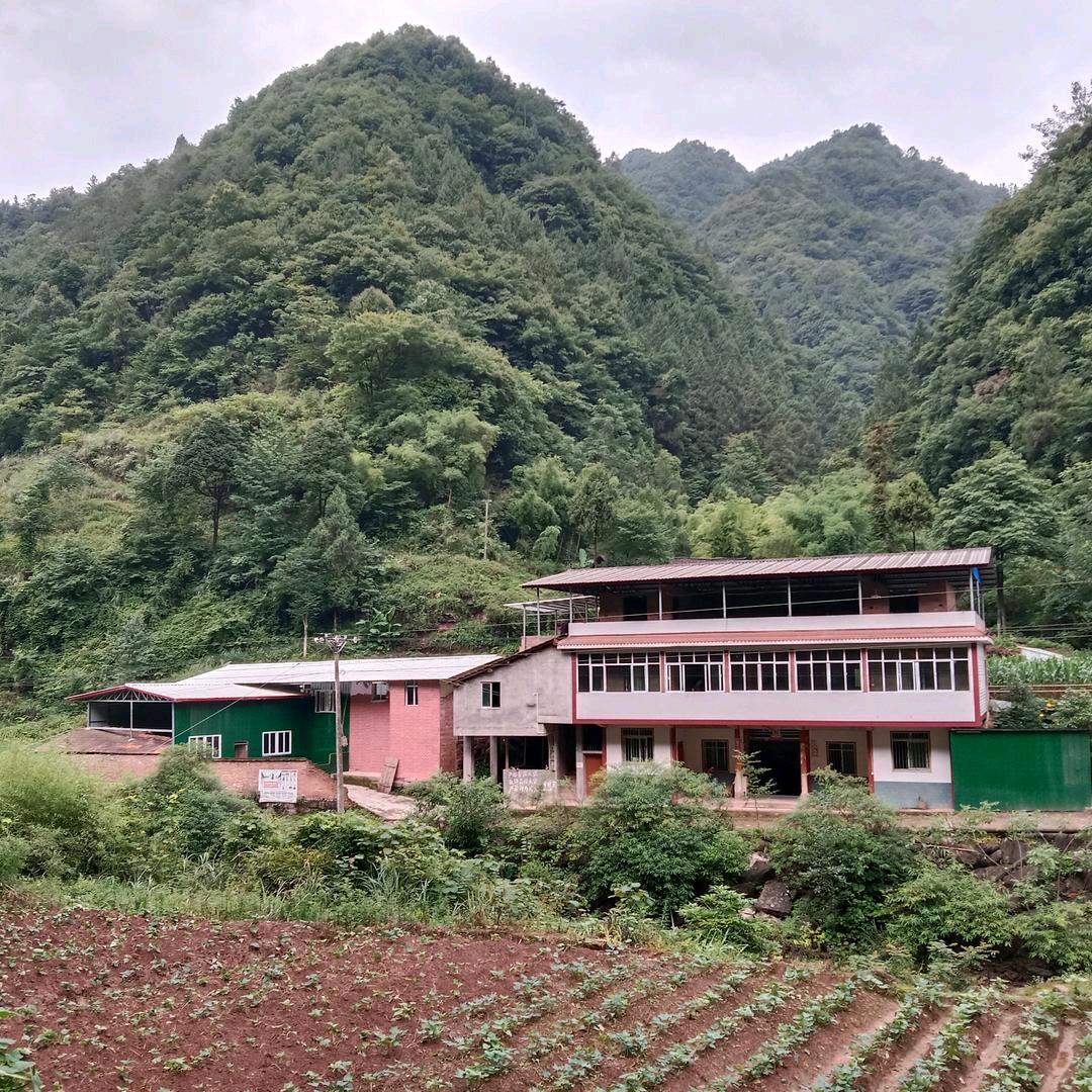 忠義
