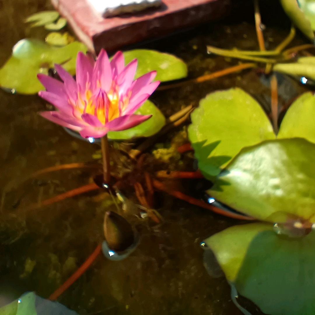 以观后效吾日三省吾身