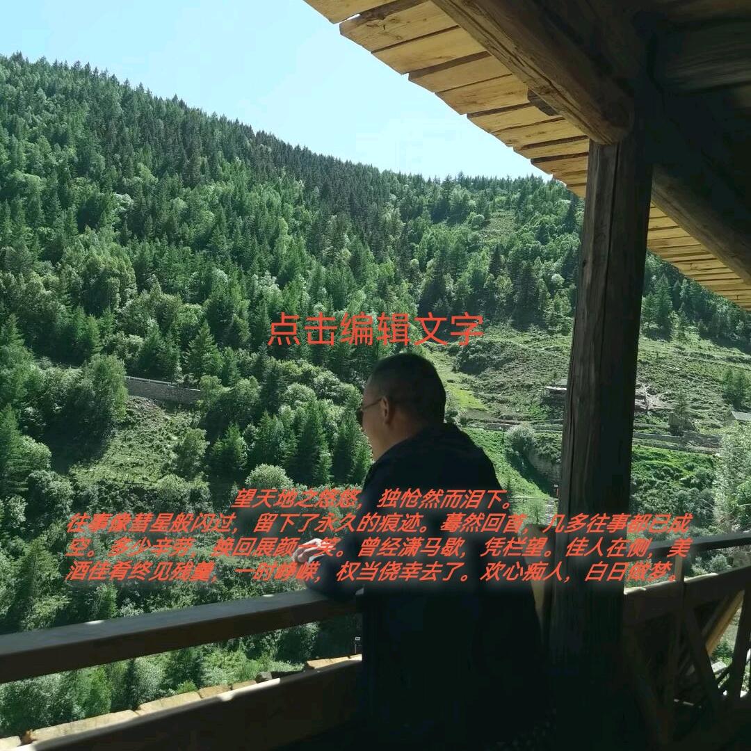 赵顾🐯周全🐲