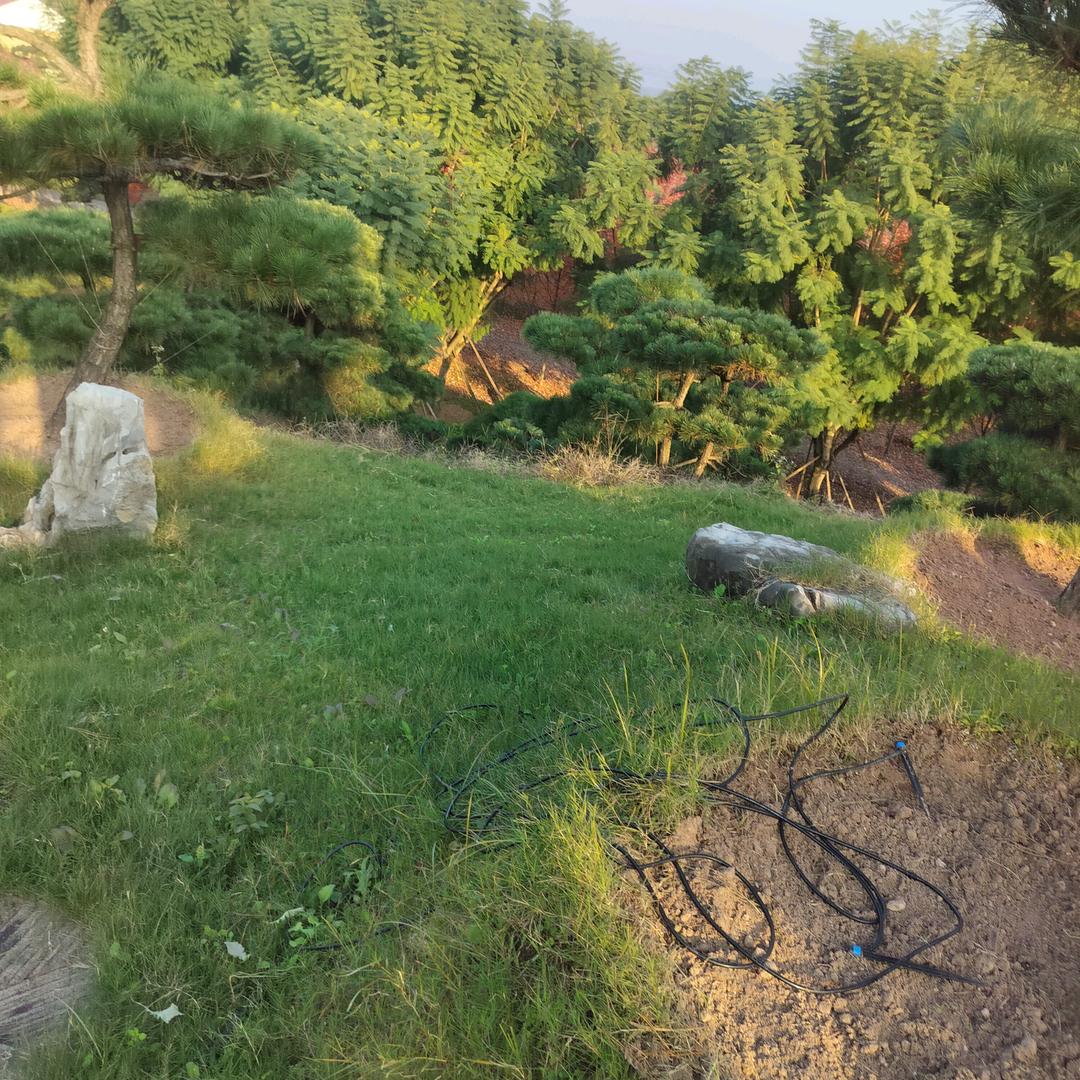 老公 等你一辈子