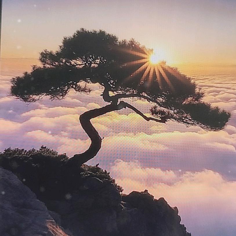 青柠时光