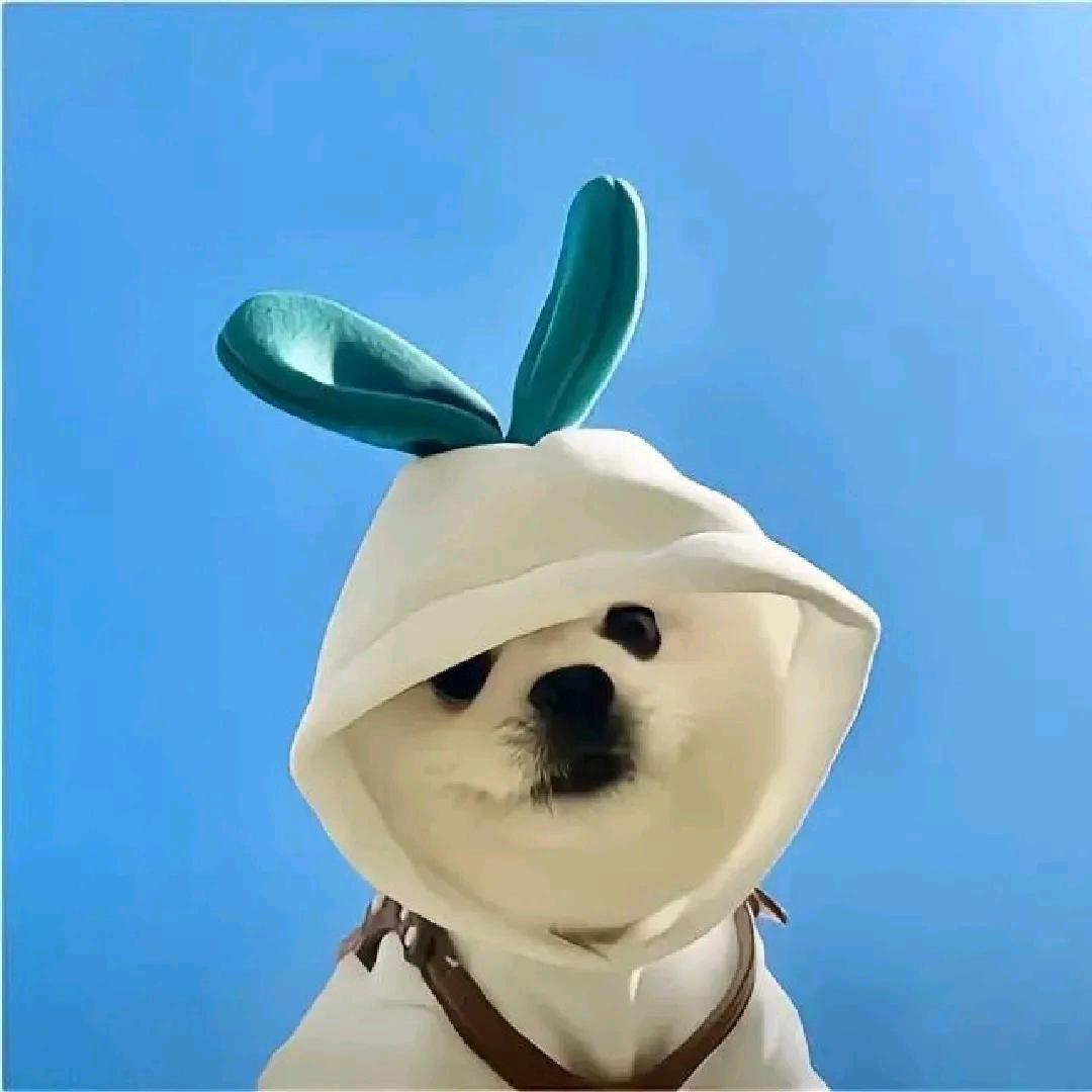 执笔画江山