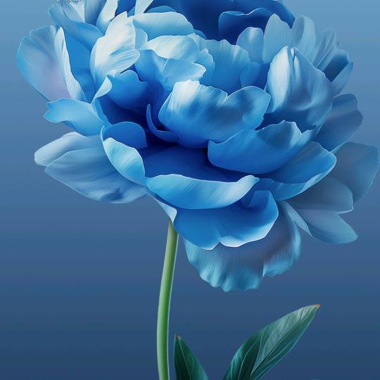 💗᭄余生ᝰᩚ随心ꦿ໌ᮨ້⁵²º