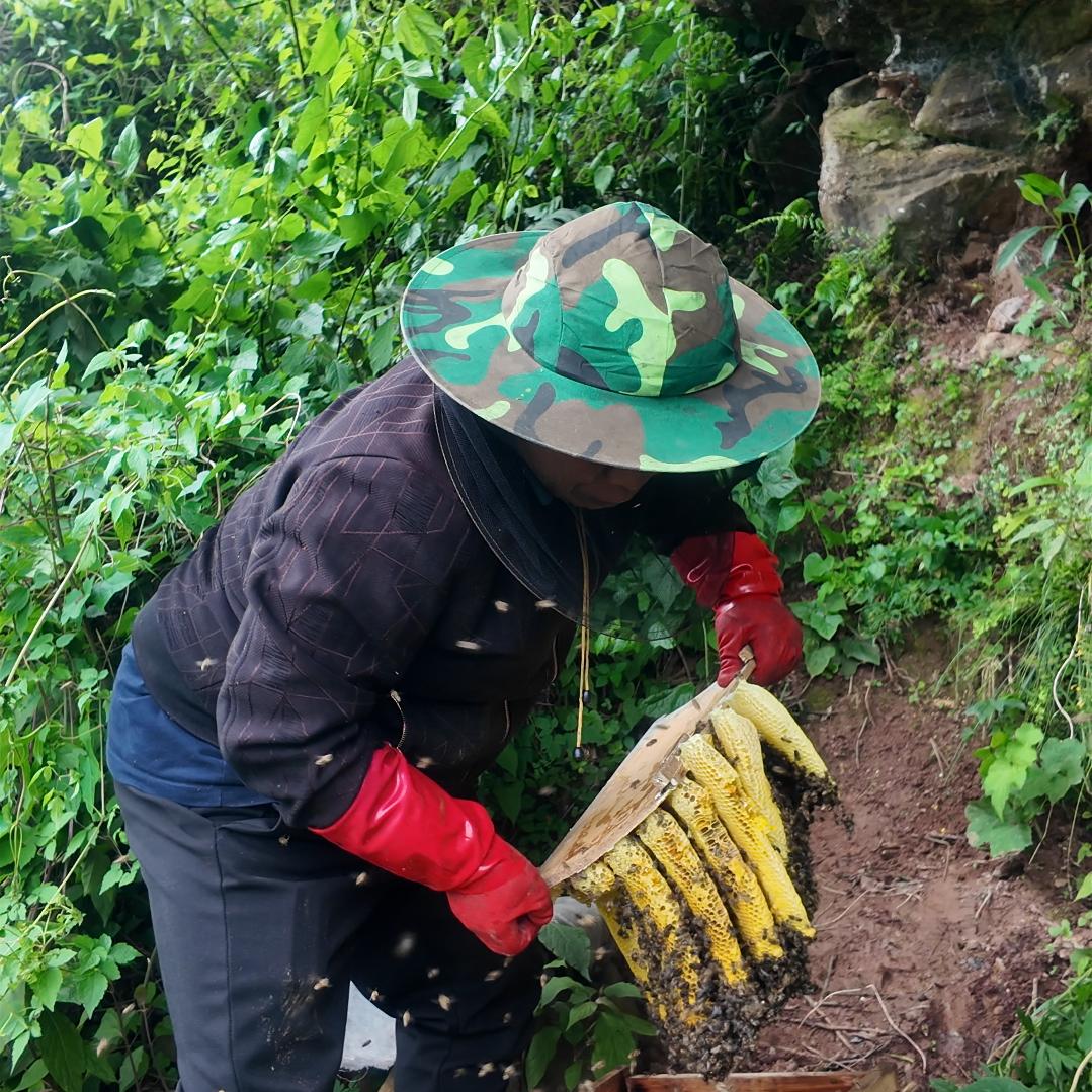 疯老王（土蜂蜜）