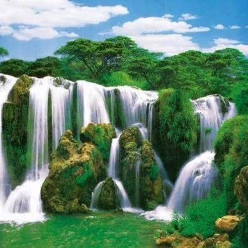 一切看淡，只为赚钱