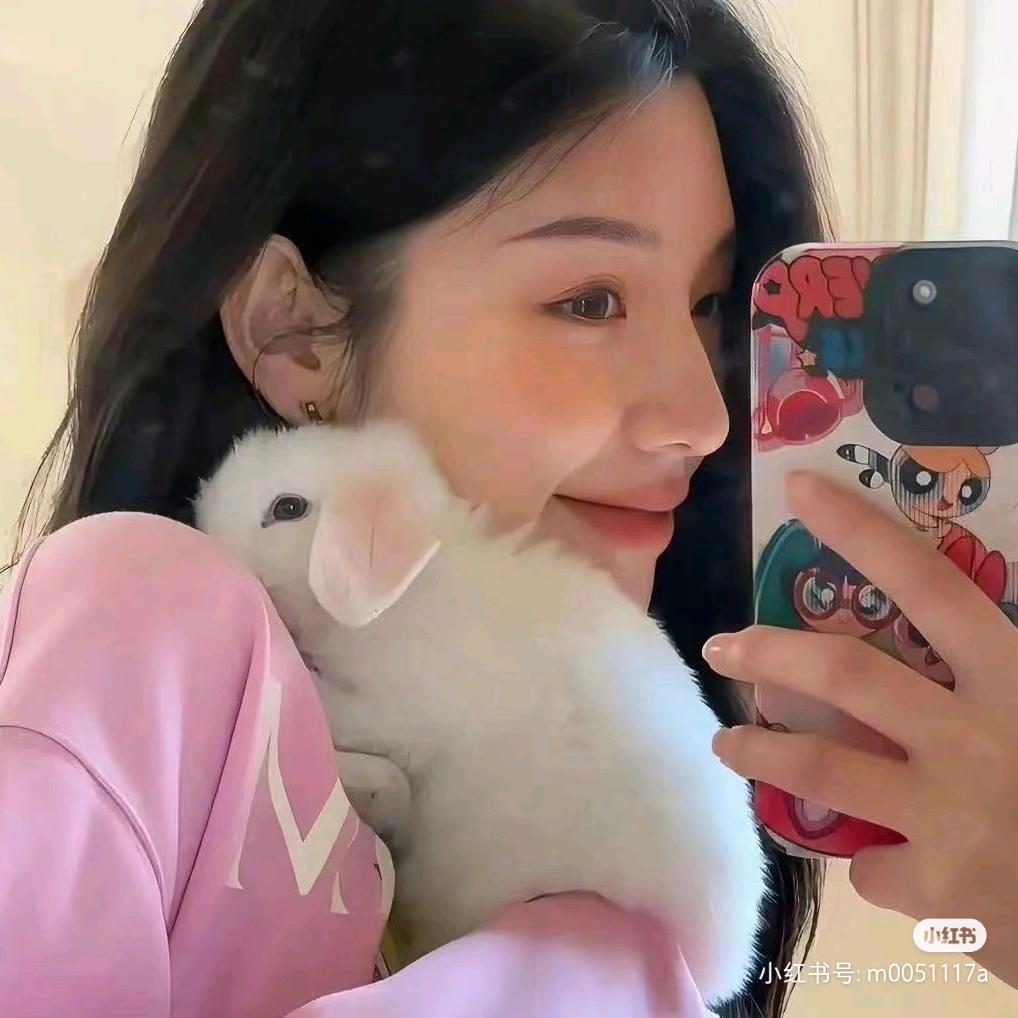 珠三角新能源面包车租售