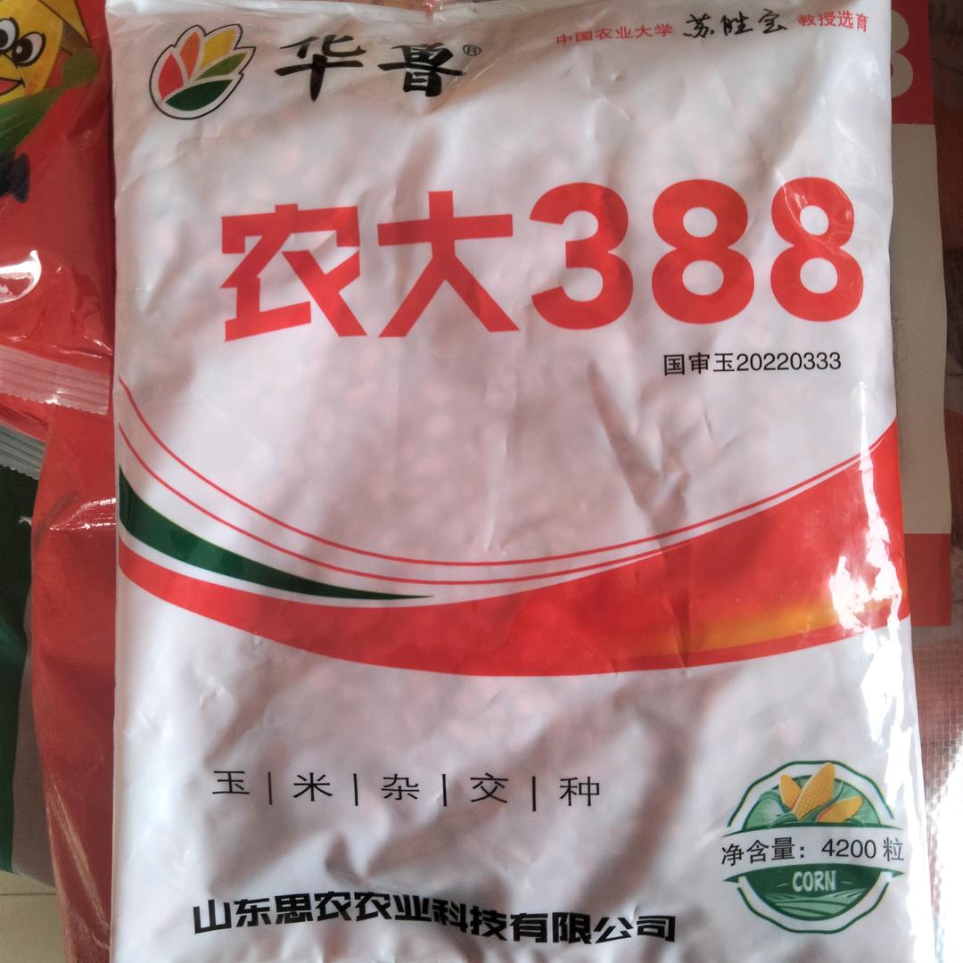 农大种子优选