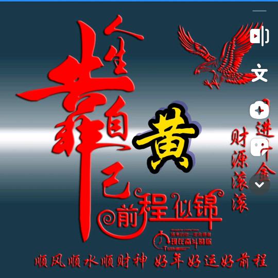 高愿雄鹰