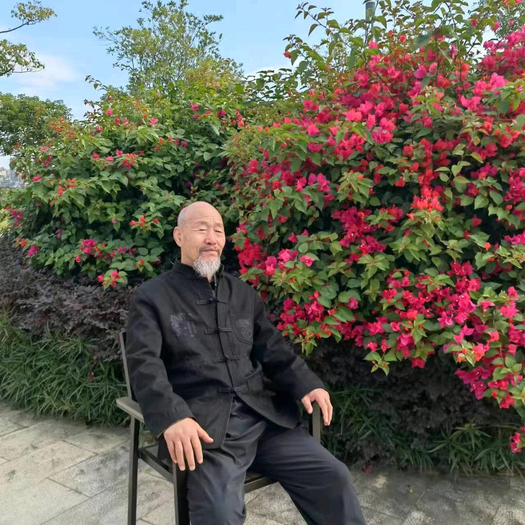 轻拳功夫推手李建平