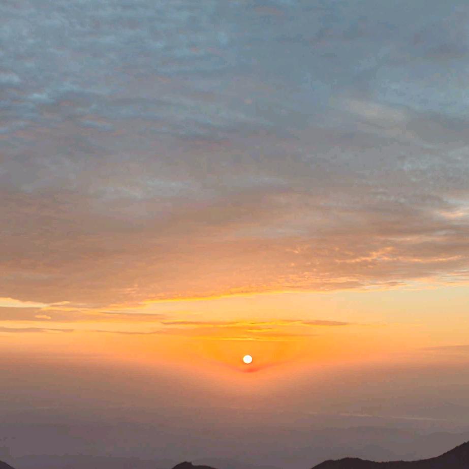 一叶知秋，一眼知你🥳