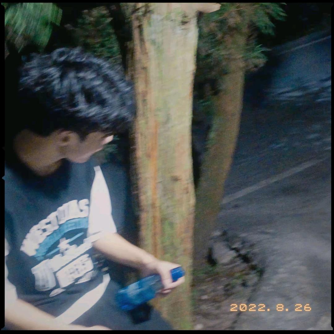 道句晚安吧……