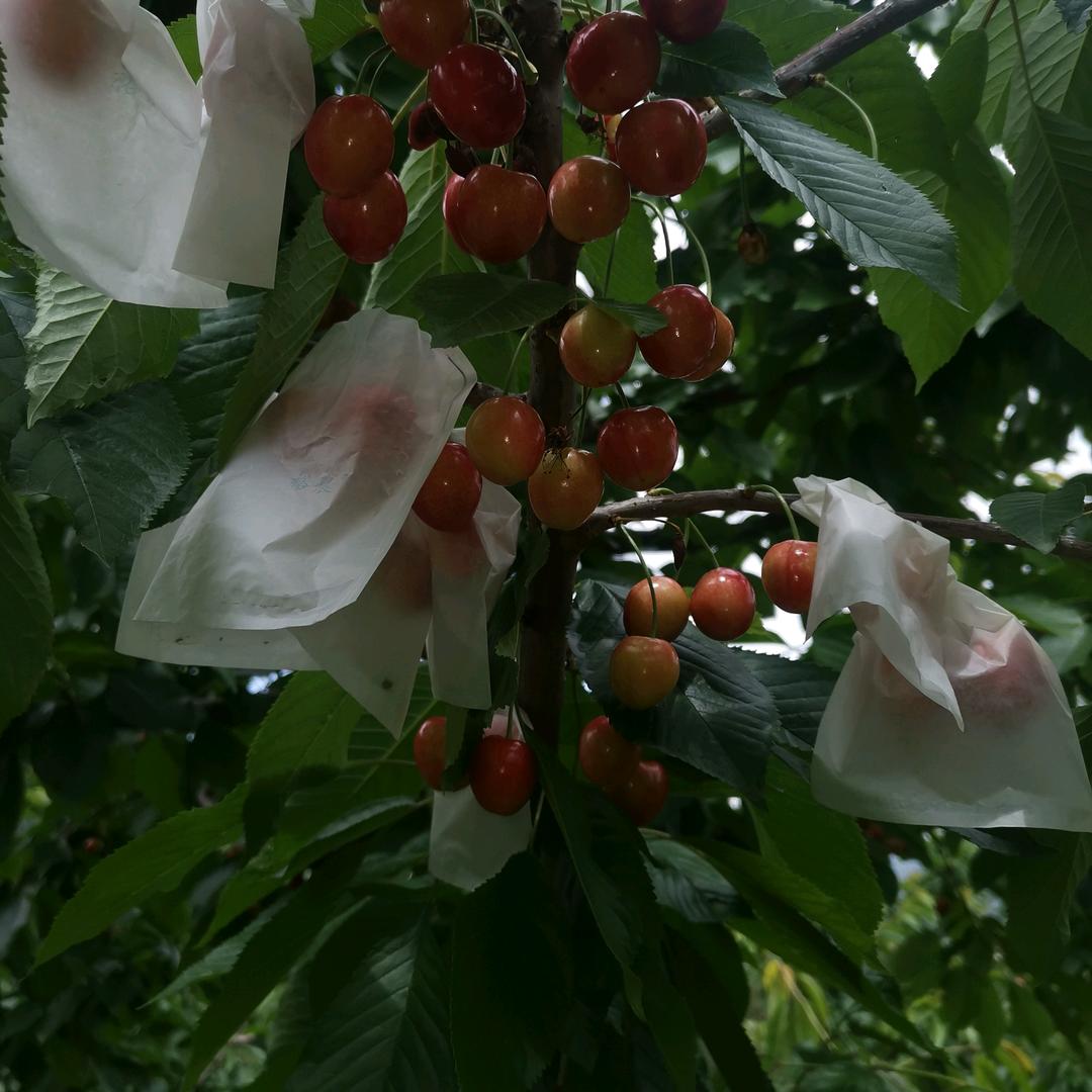 万能维修师