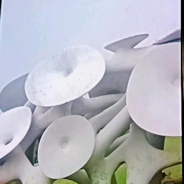 天高任我飞