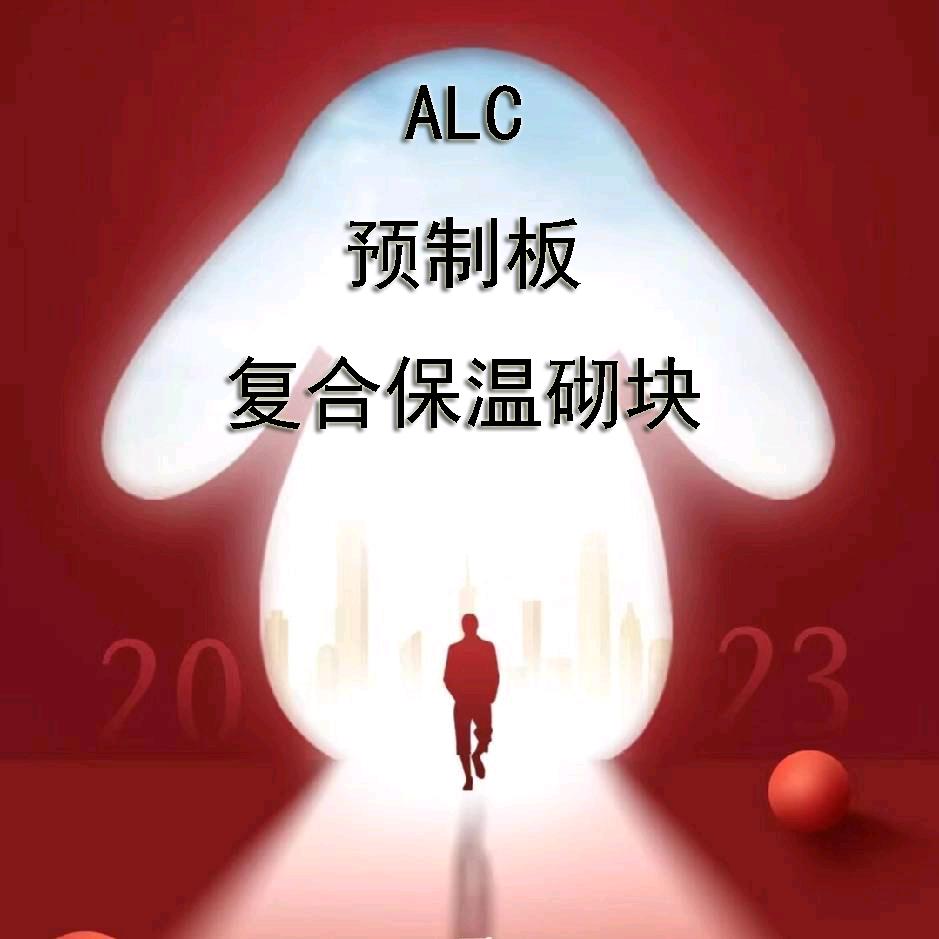 a中国EPS alc墙板，加气块