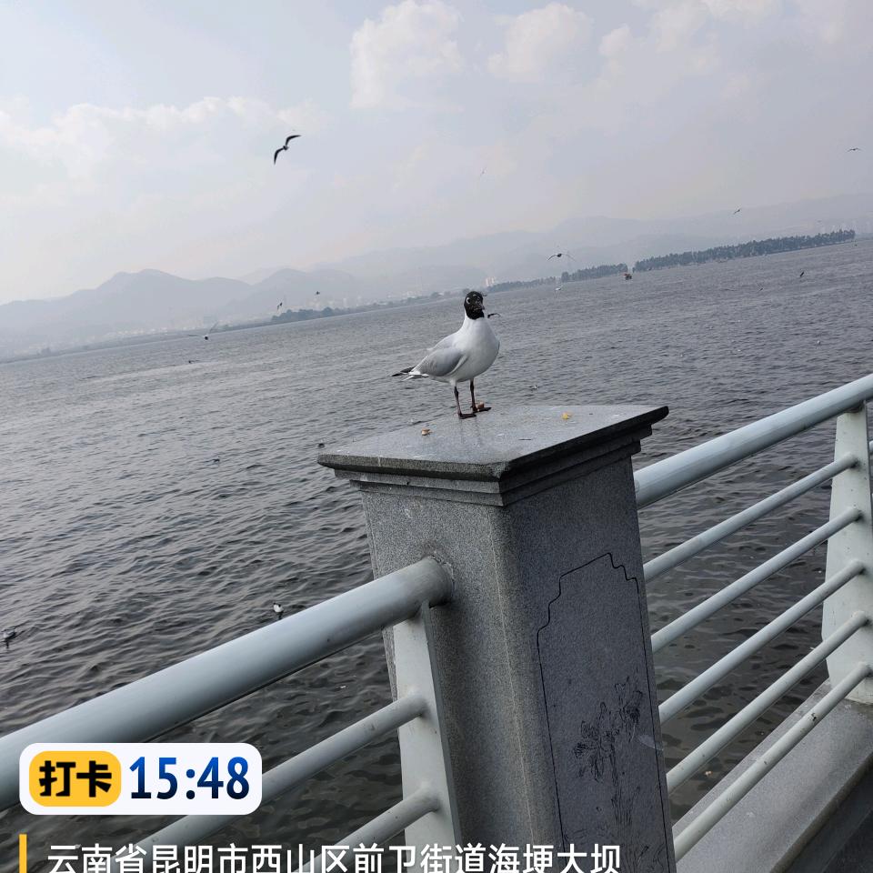 我就是我，不一样的烟火！