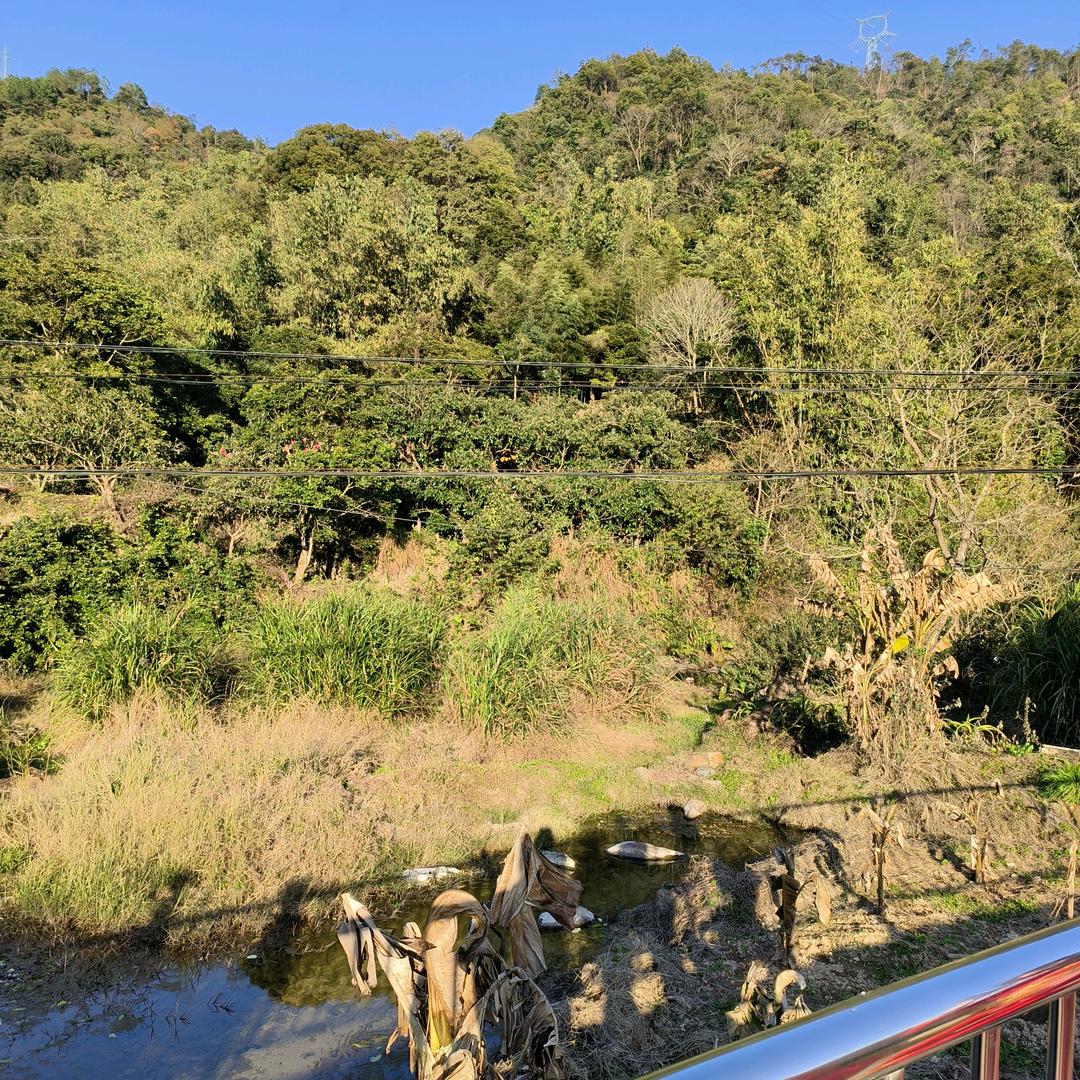 梦凯