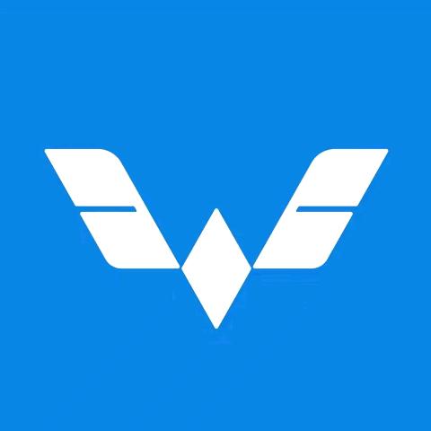 临泉县振辉汽车修理有限公司
