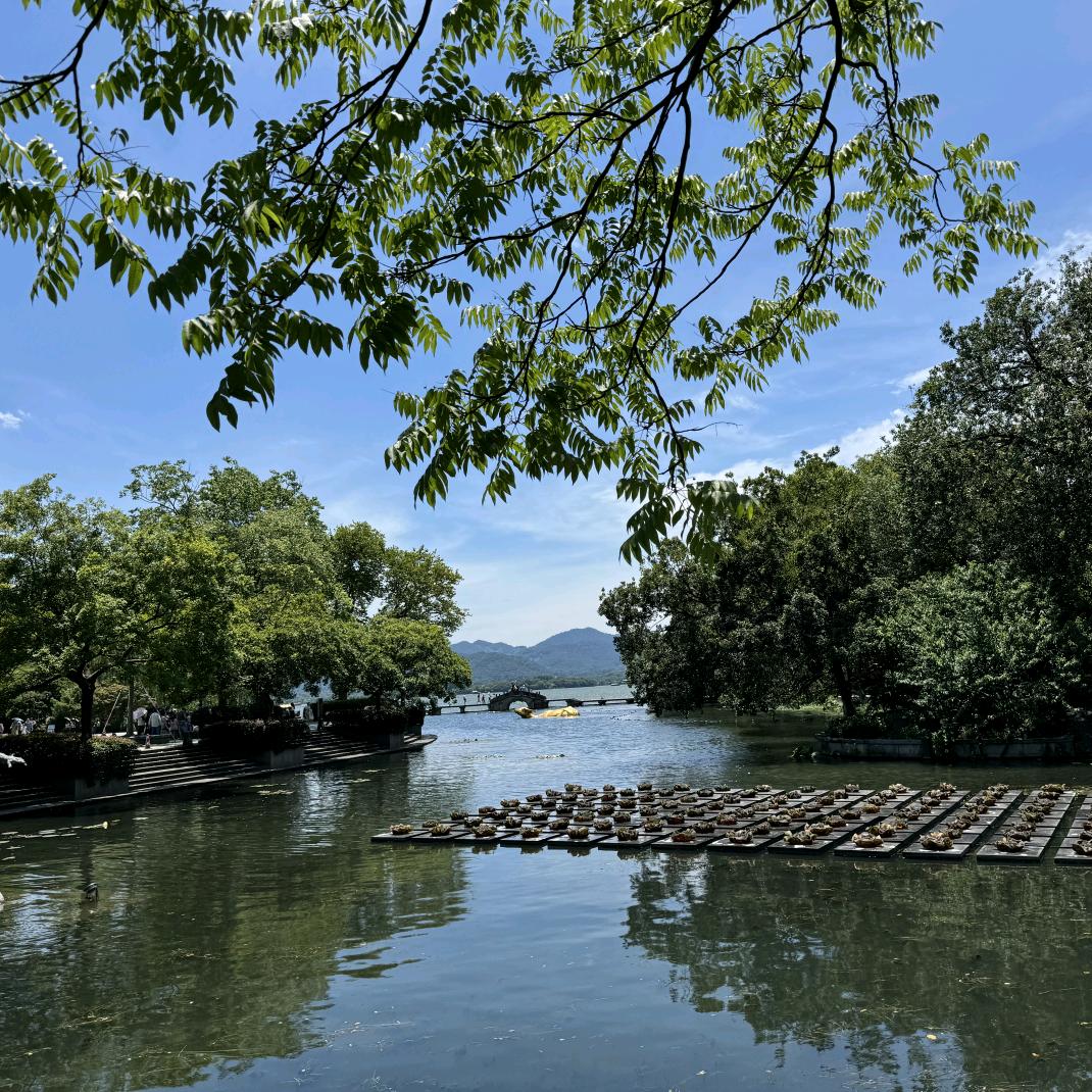丰谷