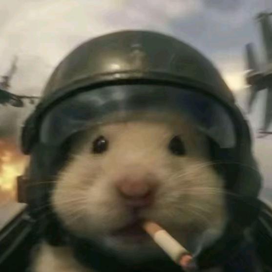 F.