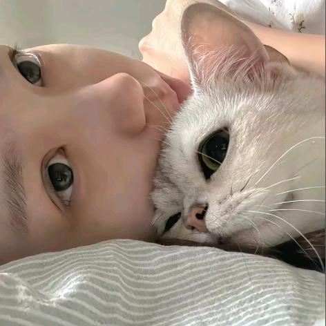杨小羊^