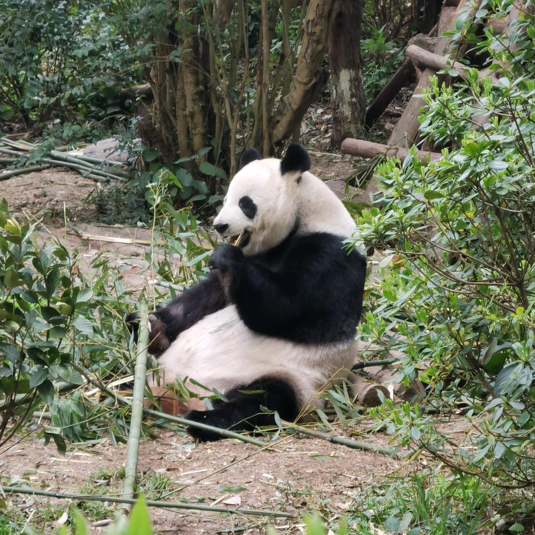 南宁小升初中考政策
