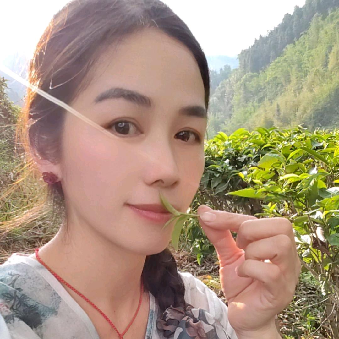 六堡茶娘（六堡茶源产地）