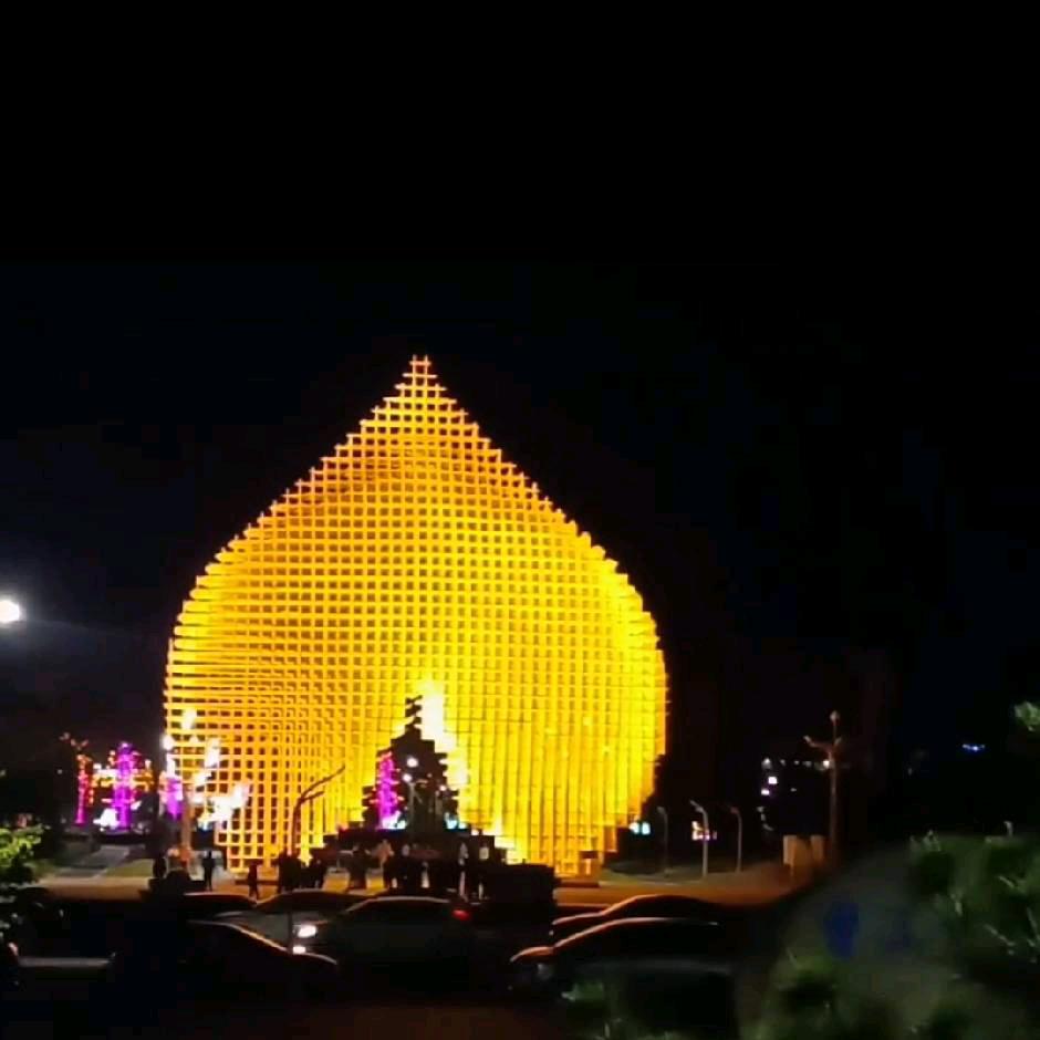 一王情深