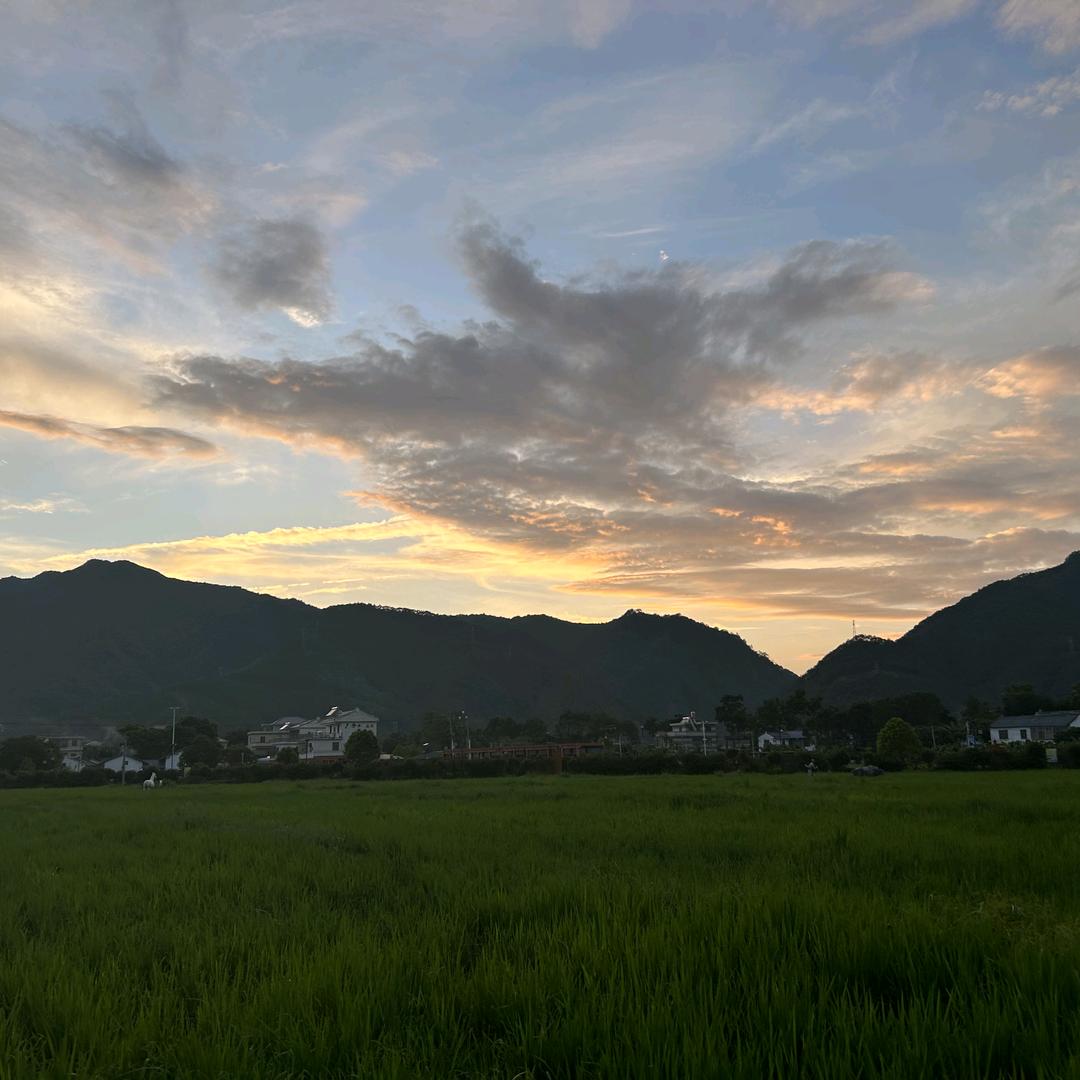 毕节飞悦琴行